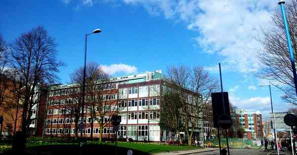 全自动智能宠物机器人 宠物机器人COZMO