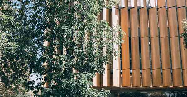 大数据在农业中的利弊（大数据在农业中的利弊分析）