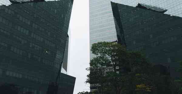 动物智能机器人的童话故事