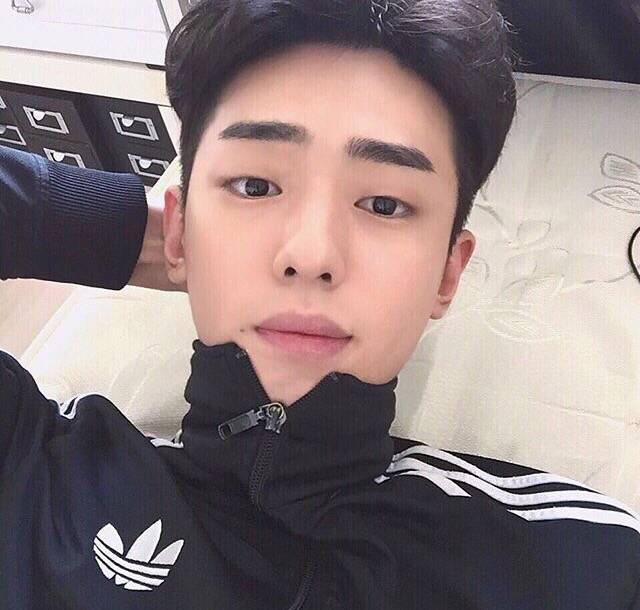 袁启娴婷