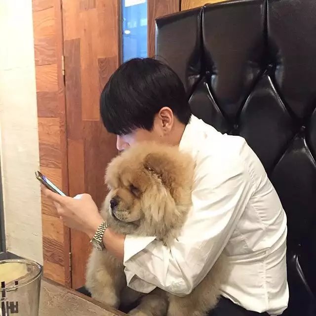 邵宏雄伯