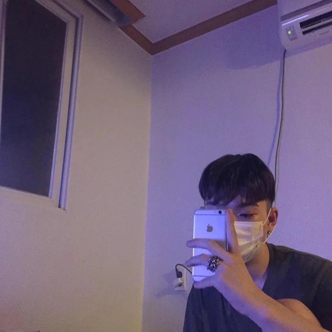 苗媛鸿震