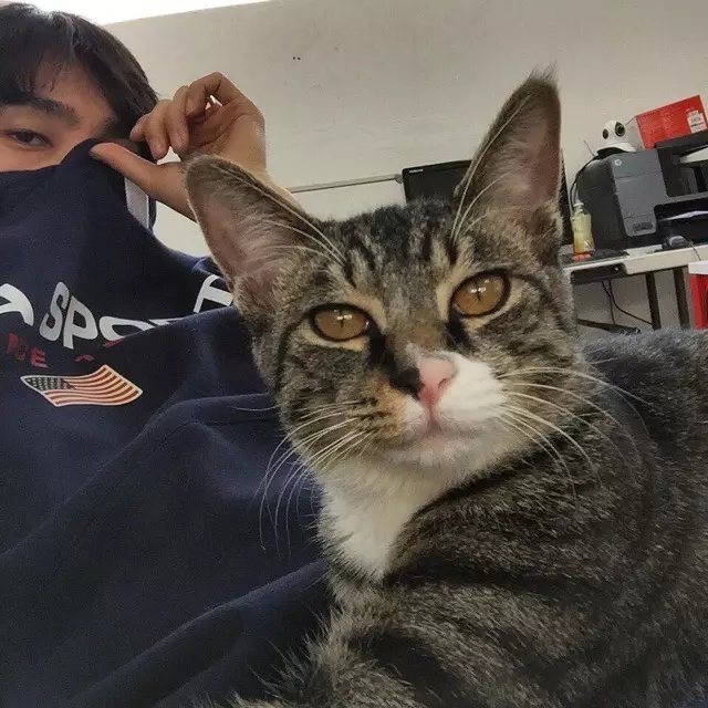 滕珊珍姬