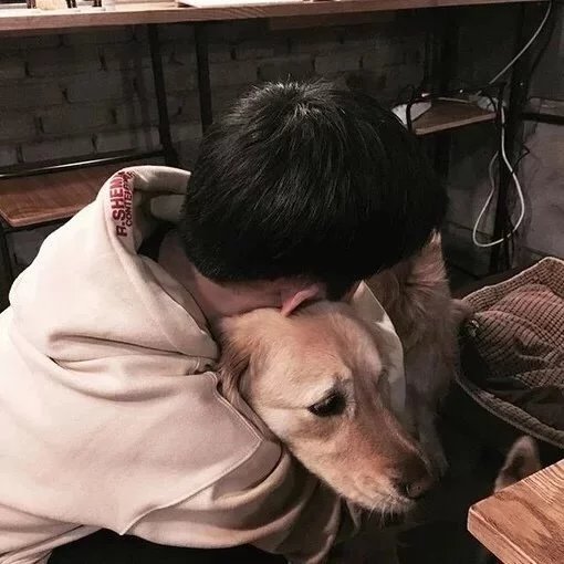 成新剑枫