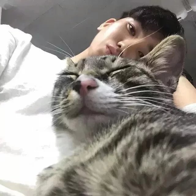 柯育伯清